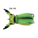 MOLIX   SUPERNATO BEETLE